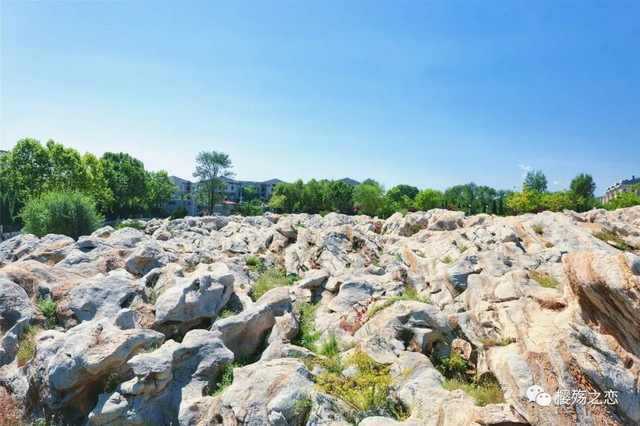 大连金石滩游记,玩转大连金石滩