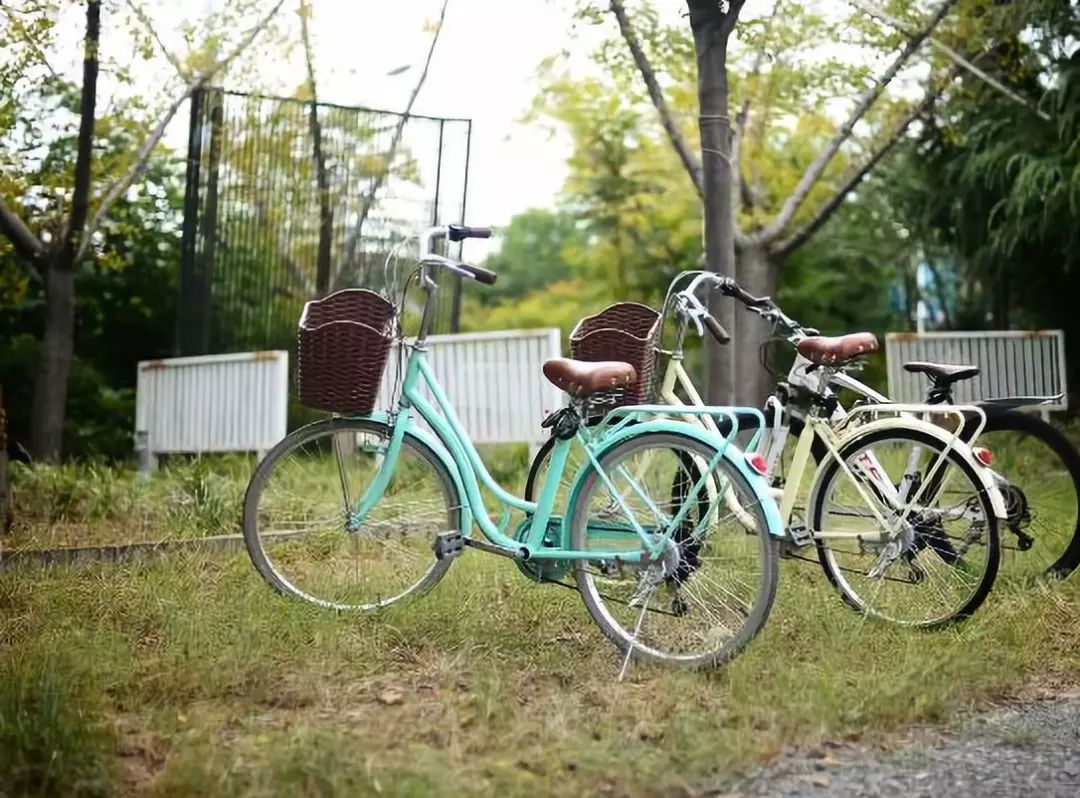 亲爱的客栈在哪,亲爱的客栈所有民宿