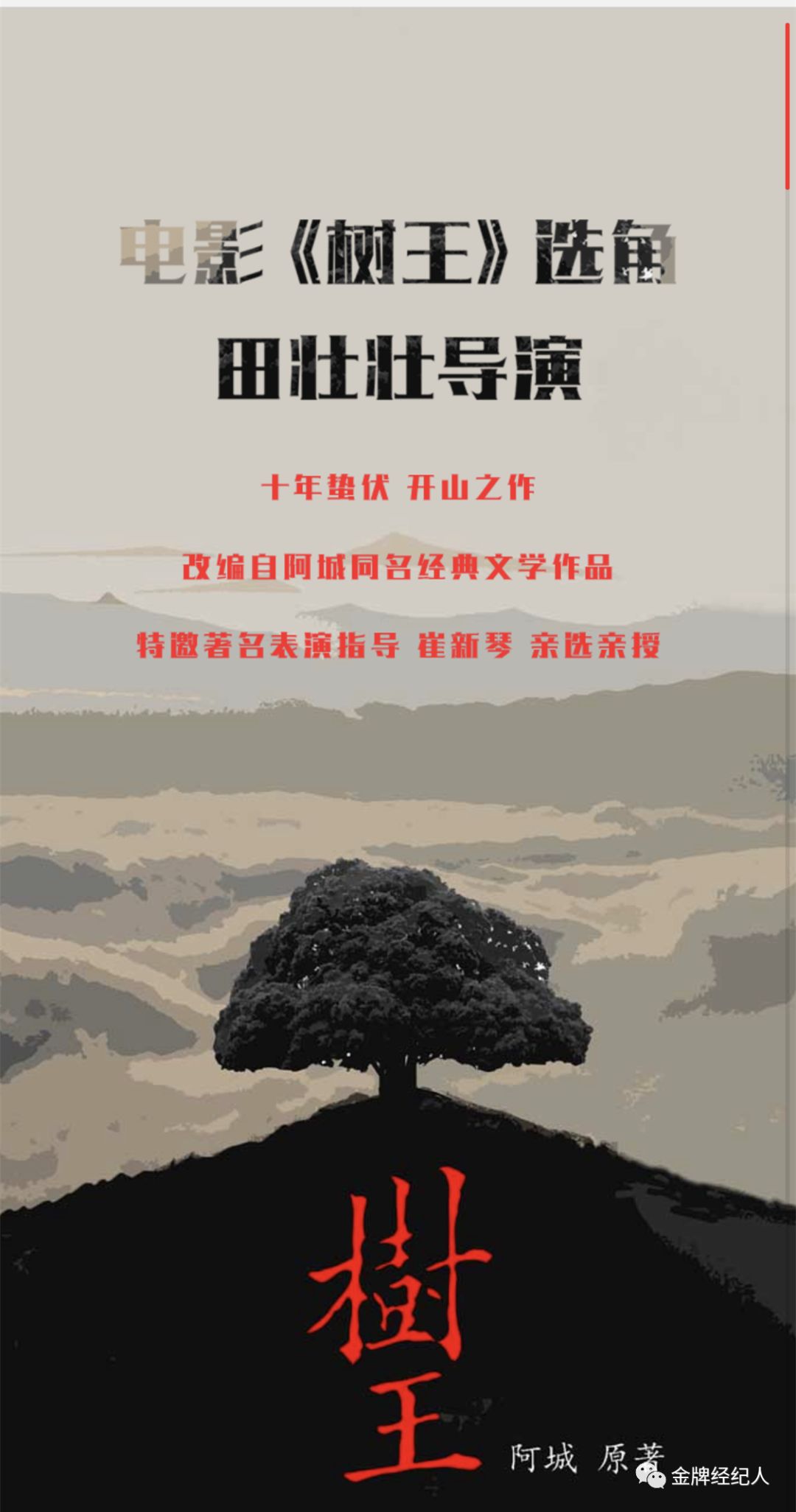 田壮壮筹备的新电影,田壮壮新作品