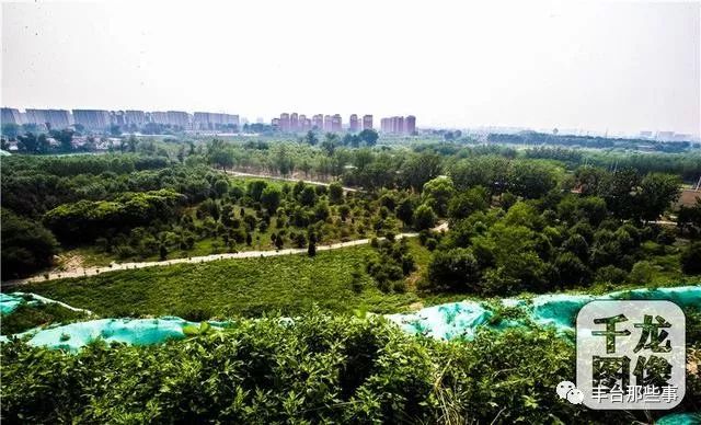 丰台“疏整促”带来8万余平城市绿色拼图!这些批发市场已经消失了……