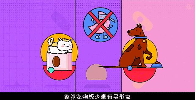 孕期玩手机会造成胎儿畸形吗,孕期养宠物导致胎儿畸形