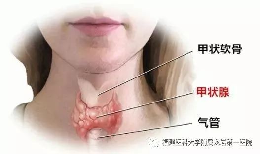 甲府事件真假,甲府事件可信度