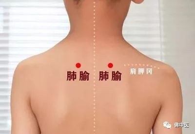 「传统医药日」秋冬预防季节性疾病，巧用艾条“自灸”益处多