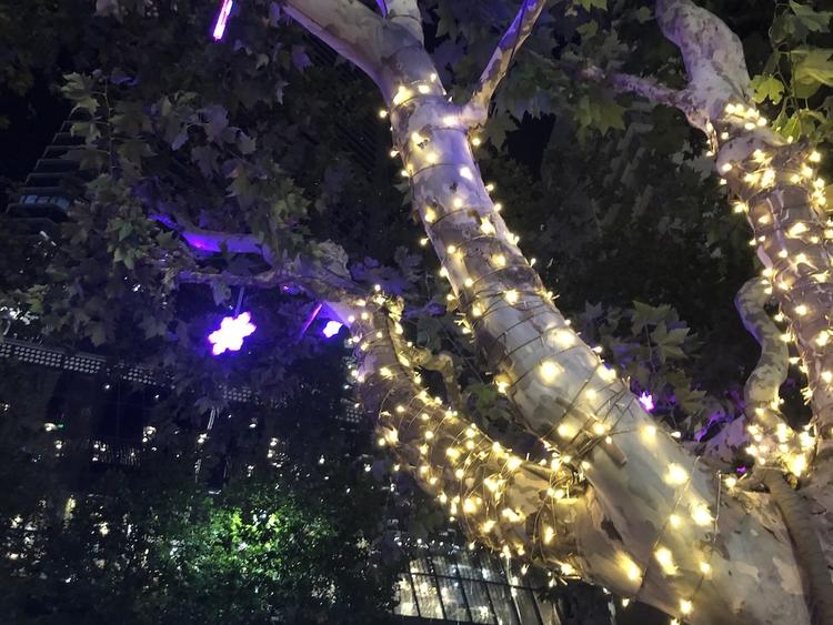 苹果xr一天的测评,iphonexr一天两充正常吗