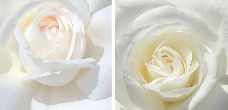 张雪迎白发王妃哭戏,张雪迎白发王妃插曲心锁