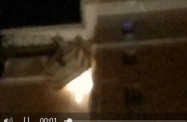 东莞清溪马蜂,清溪找马蜂