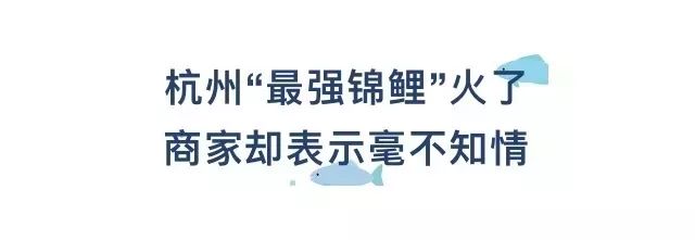 为什么中国锦鲤这么火,锦鲤红包骗人套路