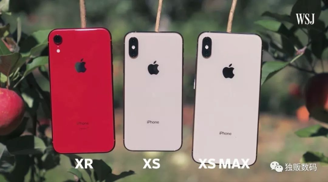 iphonex无法重新激活步骤,新买的iphone手机一定要注意这些