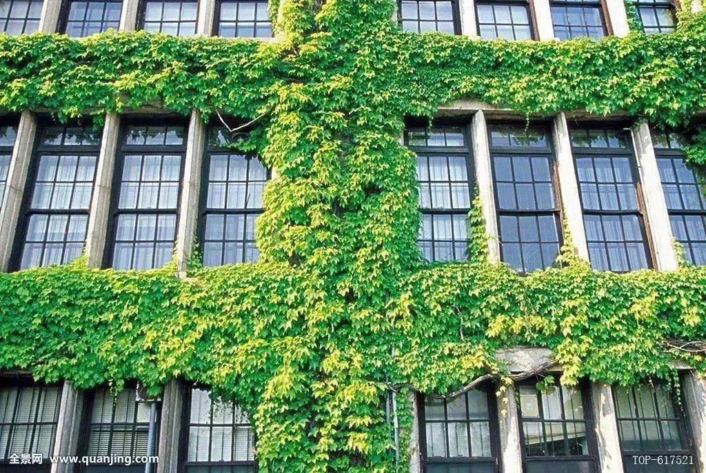 大一挂科影响以后考什么证,大一挂科影响全年还是一年