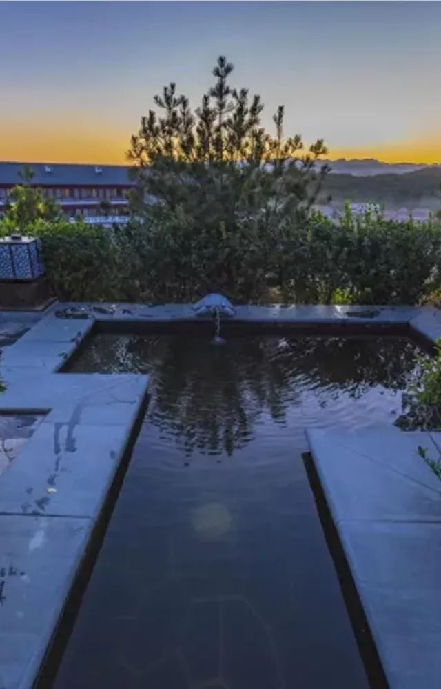 北方最大的银杏林在哪里,中国最大面积的银杏树林在哪里