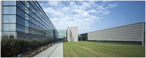 pink燕子包,pinko燕子包微商