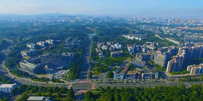 东莞出口创汇十强镇,外贸百强城市