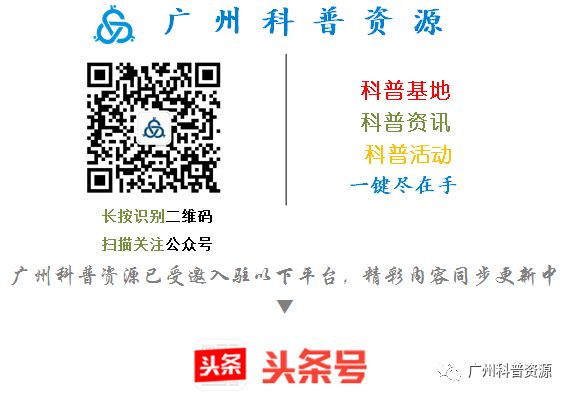 衣服怎么判断是不是洗坏了,衣服都是洗坏的还是穿坏的