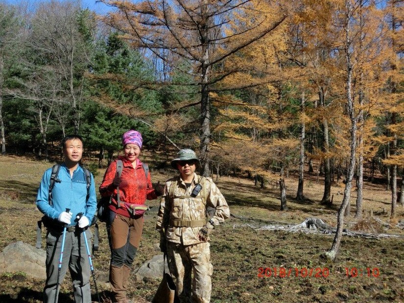 汪清直播外景,汪清户外直播