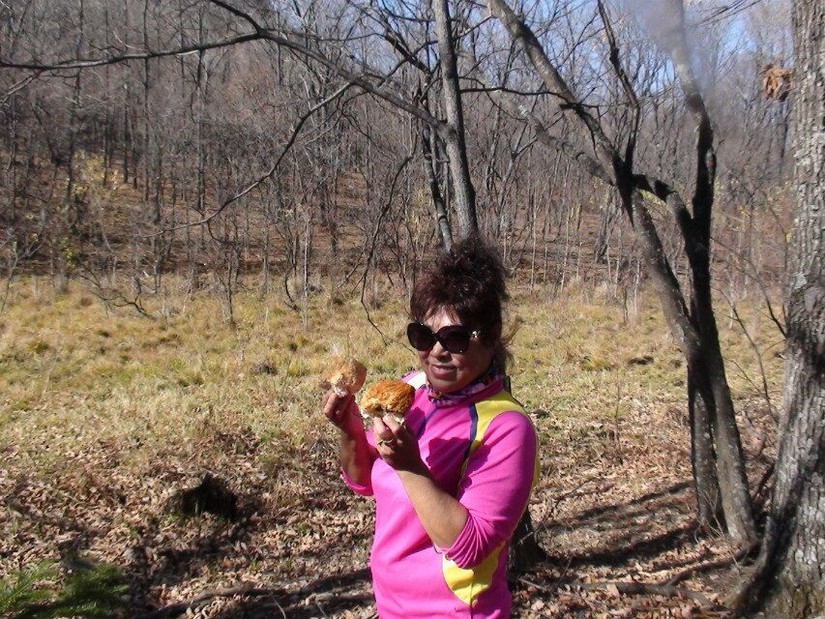 汪清直播外景,汪清户外直播