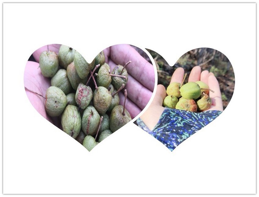 汪清直播外景,汪清户外直播