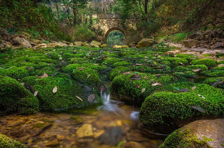 爱爬山的人都爬什么山,爱爬山的山里人完整版