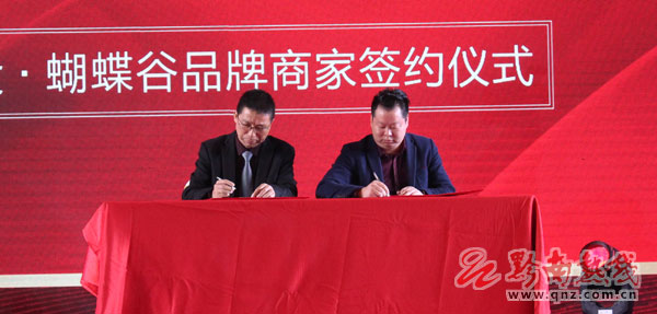 中投蝴蝶谷演唱会,中投蝴蝶谷建设