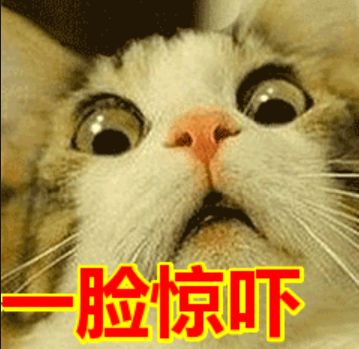 生活作风问题被问责,生活污染事件