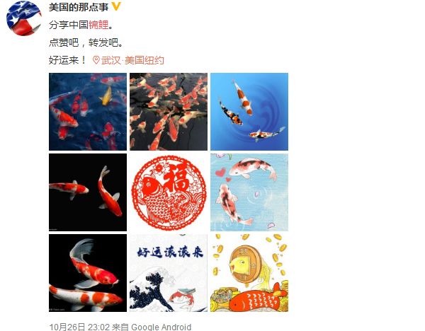 阅读量超过10万成为爆文的好处,百万阅读量的爆文有哪些