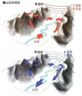 干热河谷种的热带水果,攀枝花干热河谷的热带水果王国