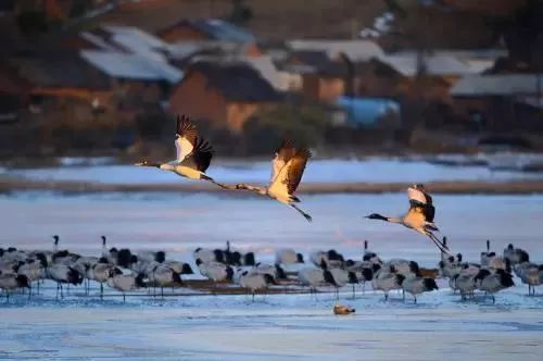 用好数据用数据说话,用数据说话最值得信赖