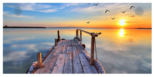 pjtime手表,极米双十一有新品吗