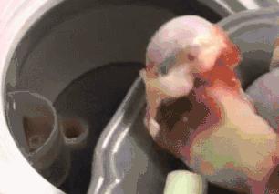 饮水机煮火锅教程,用饮水机煮火锅教程