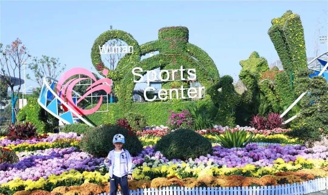 体育中心看展菊,在体育中心玩乐的一天