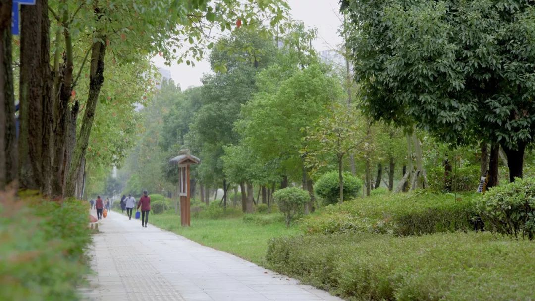 头条｜城市颜值增不停！市城管局精细化管理9大亮点出奇效！