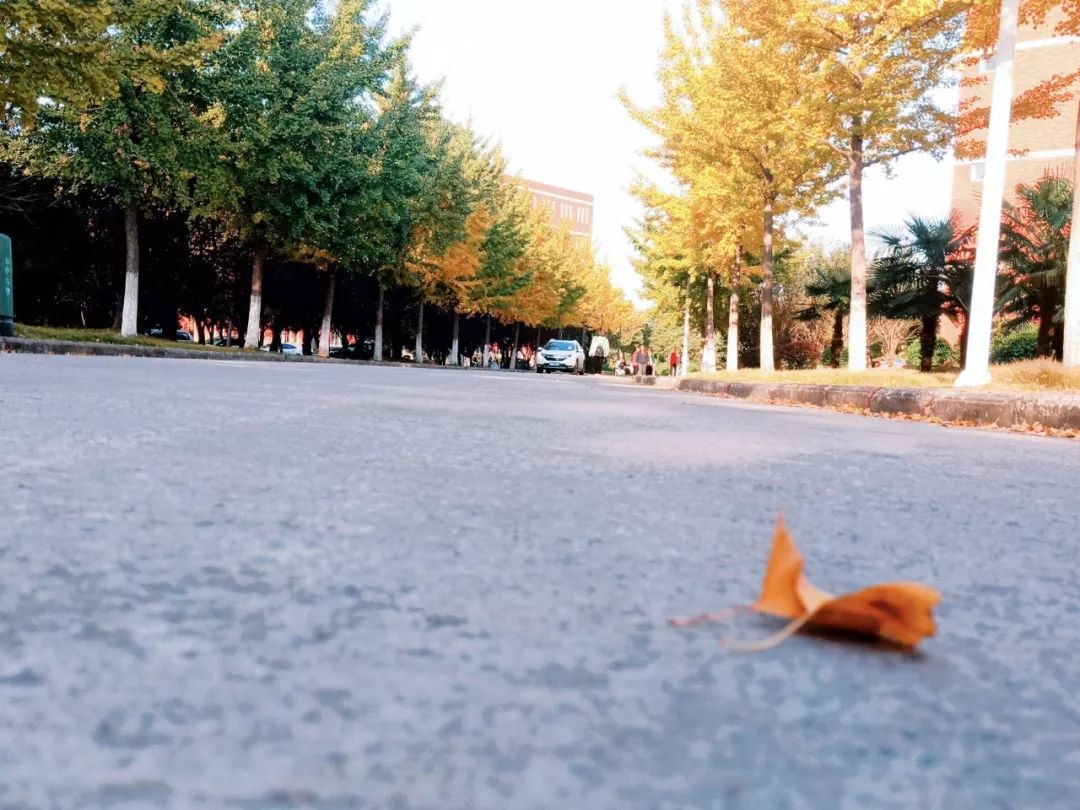 淮南师范学院教学评价,淮南师范学院学科评估