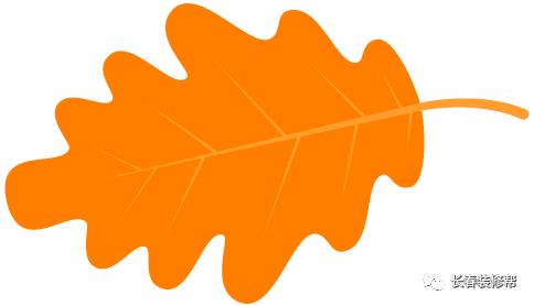 装修公司免费量房设计效果图,装修公司设计户型图