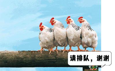 键盘上的英文字母顺序为什么,键盘上的字母是按什么规律排列的