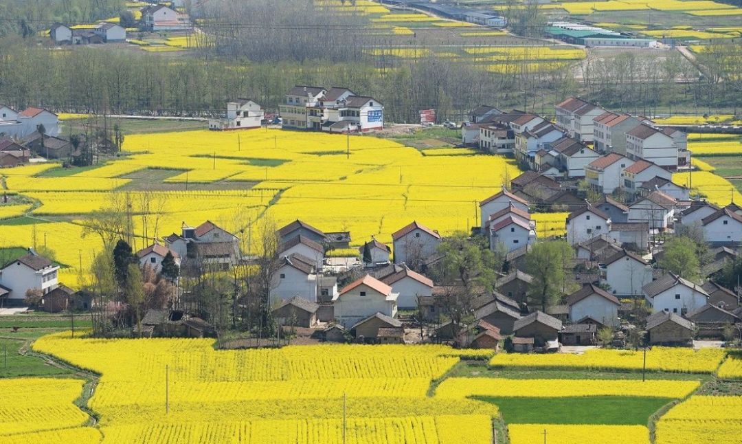 汉中5月玩的地方推荐,汉中四月好玩的地方推荐