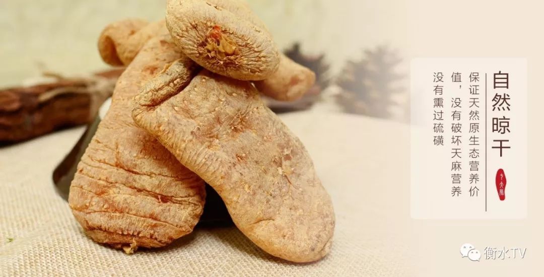 纯正文山三七粉每日一元限量体验,三七粉特价