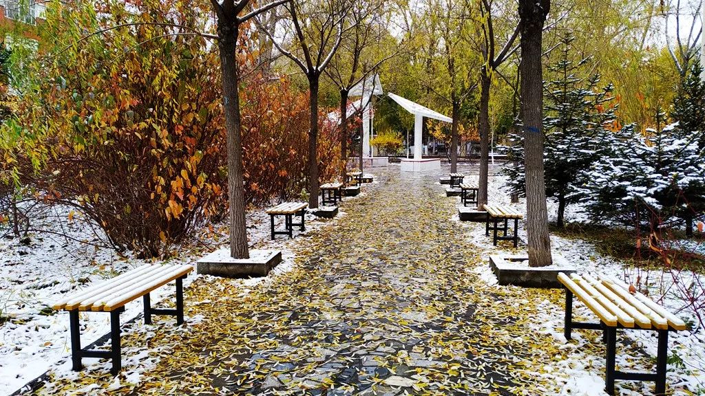 鎷虫嫵璧ゅ瓙蹇冩娈锋姊撴儏闃呰,涓嶅繕鍒濆績姣嶆牎鎯呭洓鍗佷綑杞藉啀鑱氶