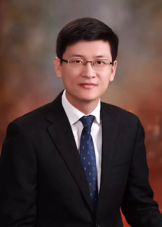 pubmed文献总结,pubmed文献综述类