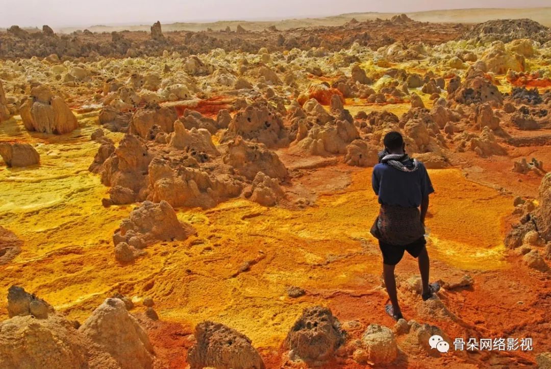 侣行梁红张昕宇联系方式2020年,一起侣行张昕宇梁红访谈完整版