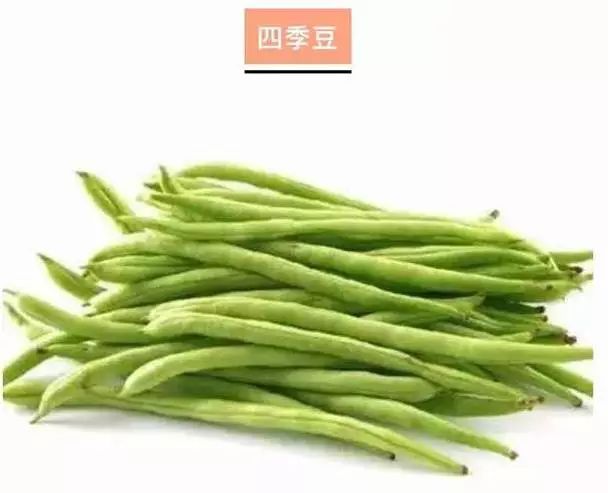 扁豆角没炒太熟会中毒吗,菜豆角没熟有毒吗