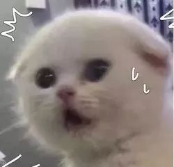 网上买的双飞人真假,网上买双飞人靠谱吗