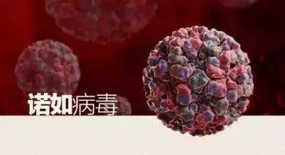 家长注意这种传染病已进入高发期,家长注意近期这两种疾病高发