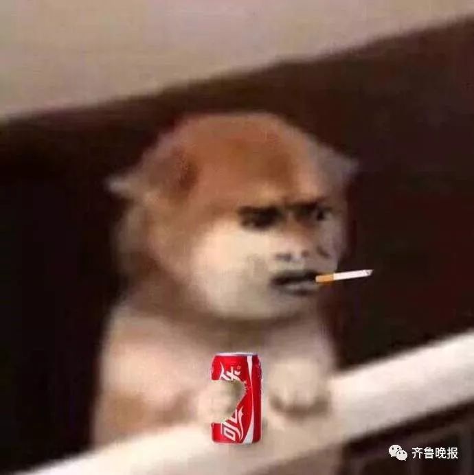 代购商逃税10年判几年,网店被追缴800万税