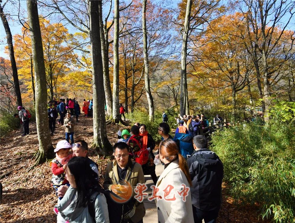 错过了红叶最佳观赏时间,光雾山红叶最佳观赏地方是哪里