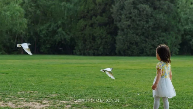 羊驼陪吃早餐，天鹅湖中畅游，藏身北京奥森旁的休憩之地：在之禾
