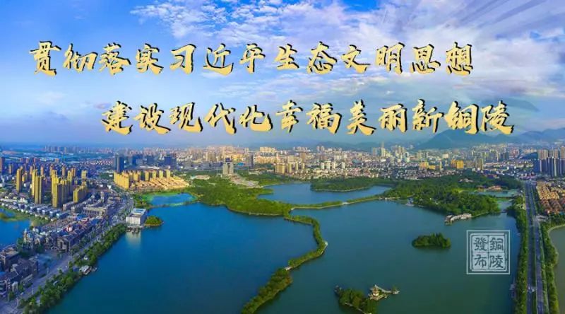 铜化集团违规通报,铜化集团最新消息