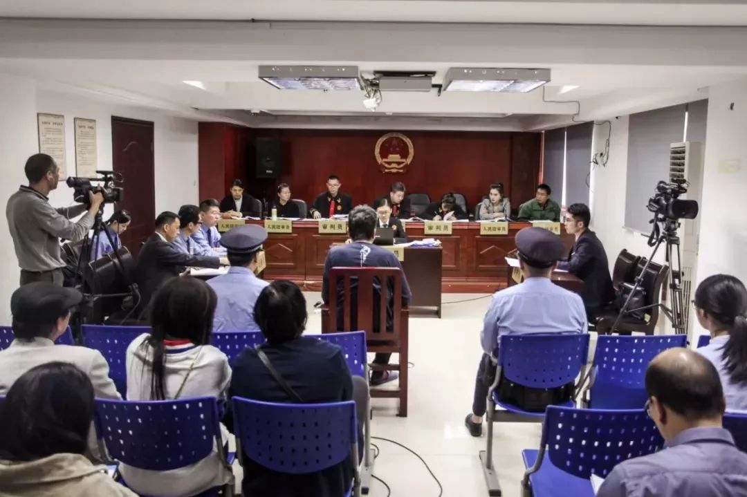 刑事附带民事公益诉讼案件获判,刑事附带民事公益诉讼庭审