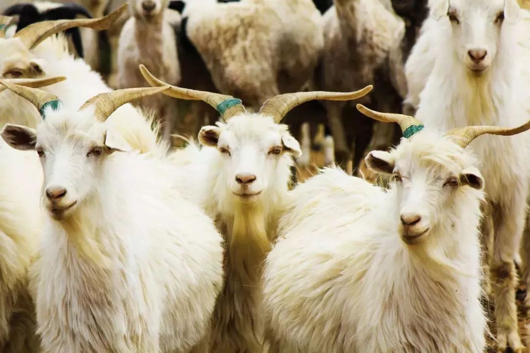 全场满减｜抄底价还加赠，折上折再满减！是时候囤一波刚需了！