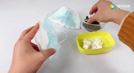 衣柜潮湿生虫子怎么处理,衣柜缝隙里有大虫子怎么办