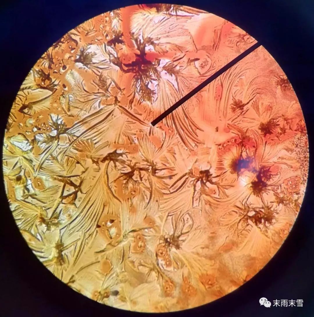 那些绝美的中药,那些你不知道的绝美中药