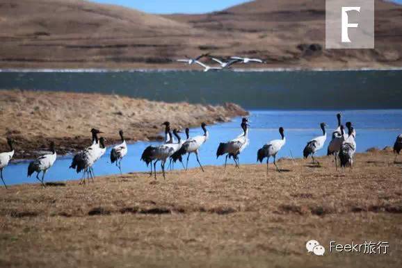 杭州特价机票购买攻略,杭州机票优惠团购